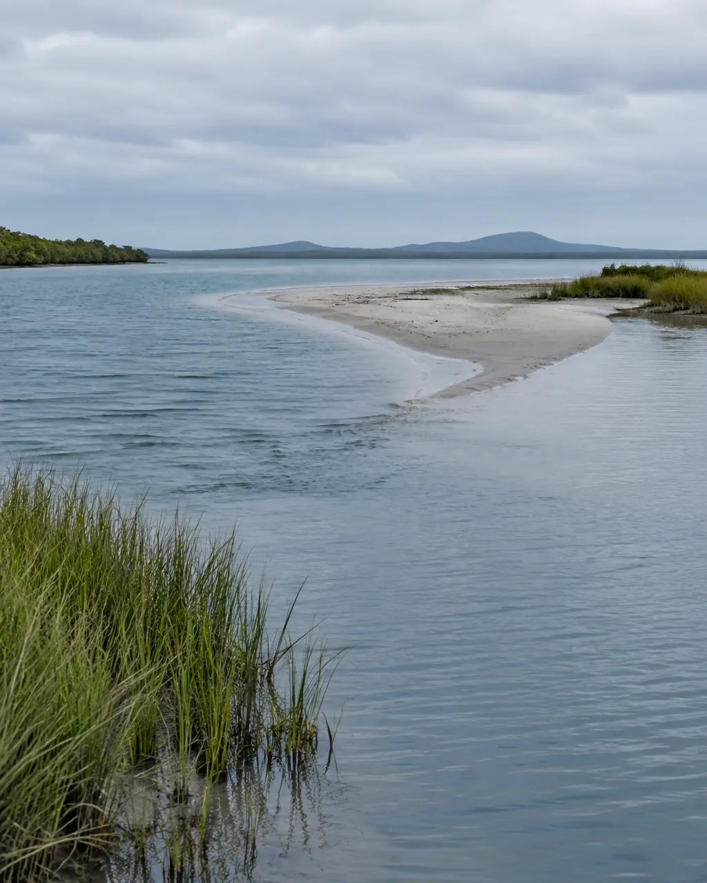 Two calm water channels meeting around a low sandbar in a quiet estuary